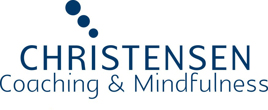 Lækker Sociale Studier lærebog Christensen Coaching & Mindfulness, Sæby Frederikshavn